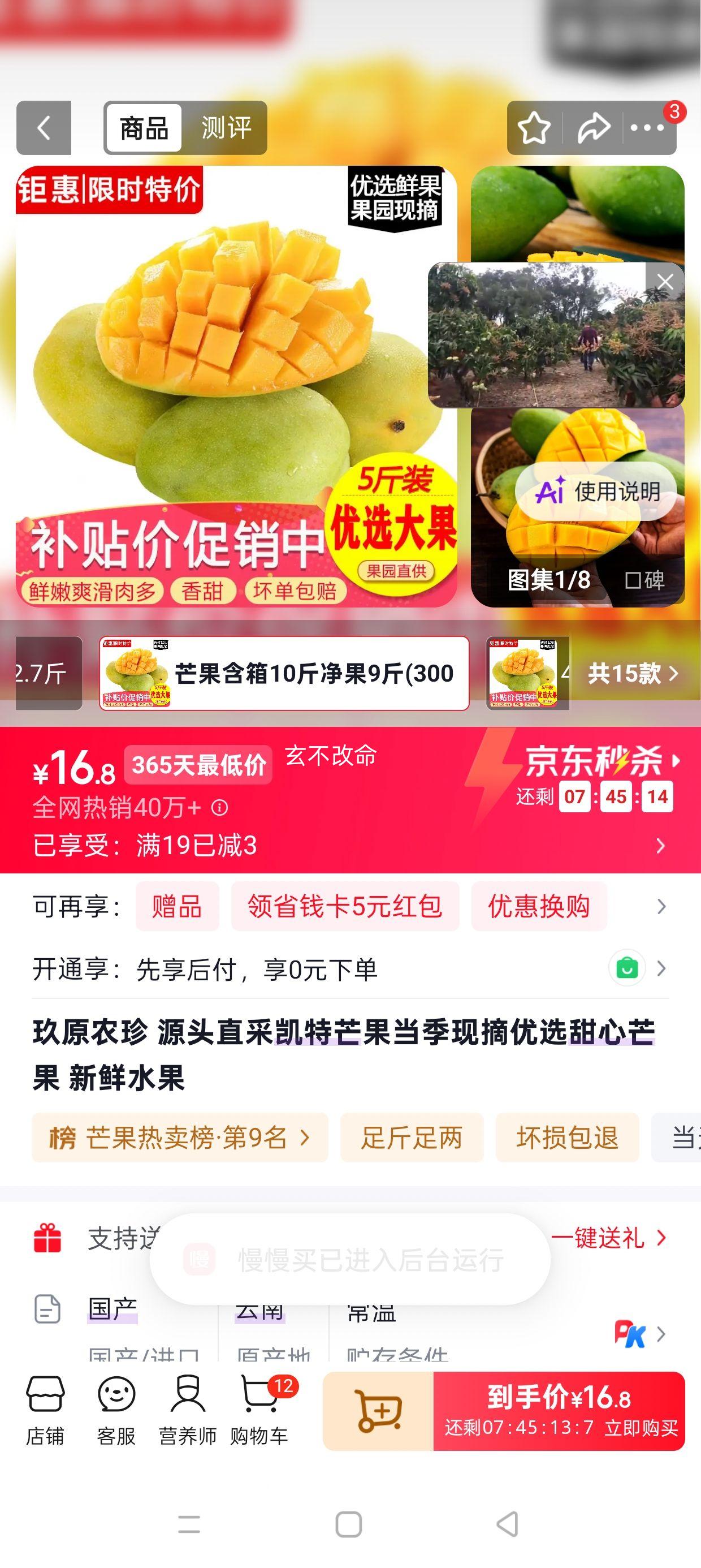玖原农珍凯特芒果10斤装净果9斤 16.98元 - 86线报