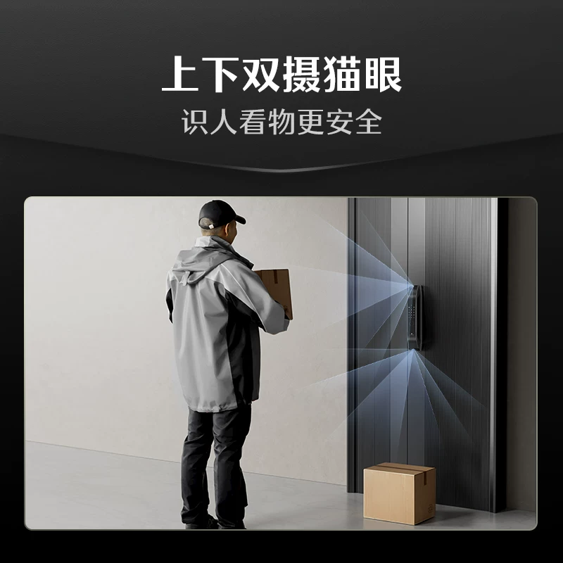德施曼智能锁3D人脸识别指纹锁家用防盗密码锁大圣Q5FPro下摄版 1768.75元 - 86线报