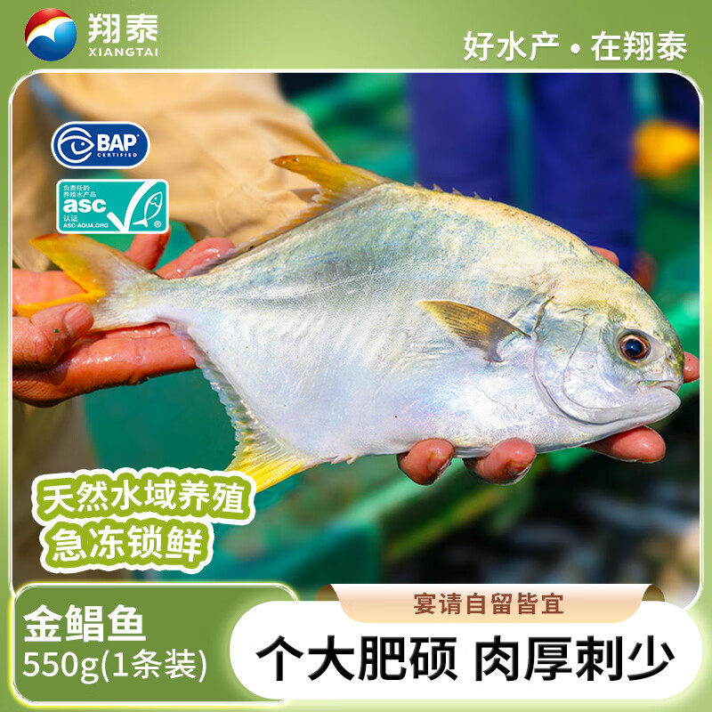 翔泰 海南大规格金鲳鱼550g1条海鱼生鲜鱼类火锅 海鲜水产 15.81元 - 86线报 翔泰 海南大规格金鲳鱼550g1条海鱼生鲜鱼类火锅 海鲜水产 15.81元 - 86线报