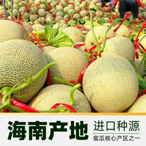 欢乐果园 海南枚珑网纹蜜瓜 4斤礼盒装 34.09元 图片 2