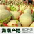 线报图片