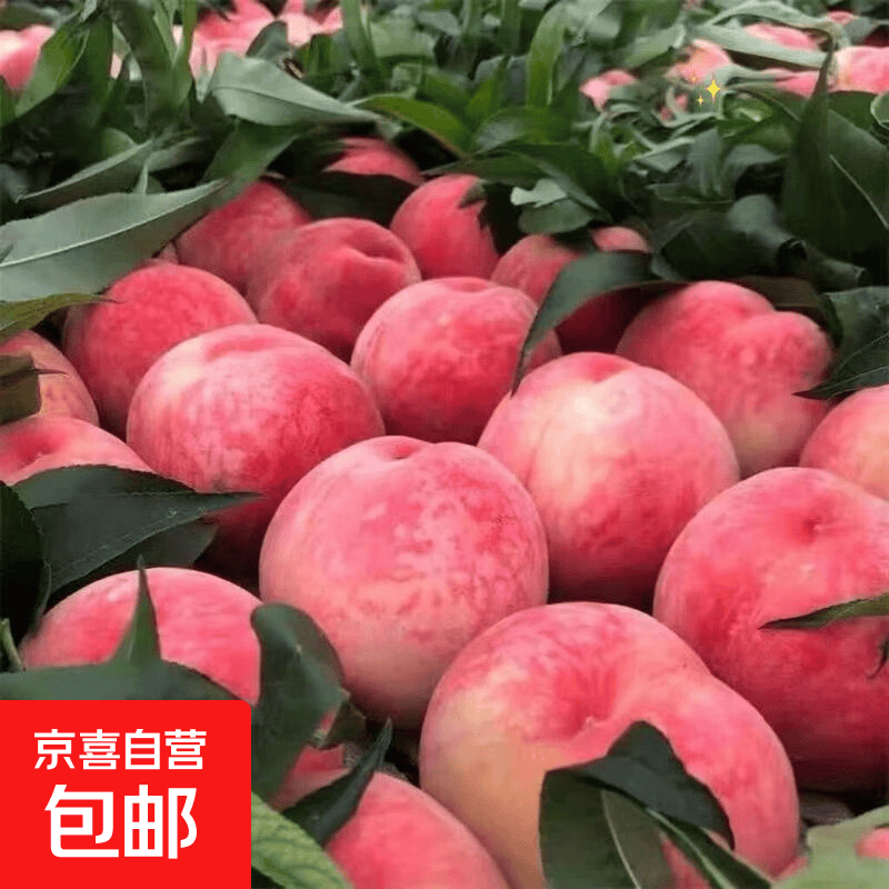 水蜜桃净重4.5斤 18.98元 - 线报酷