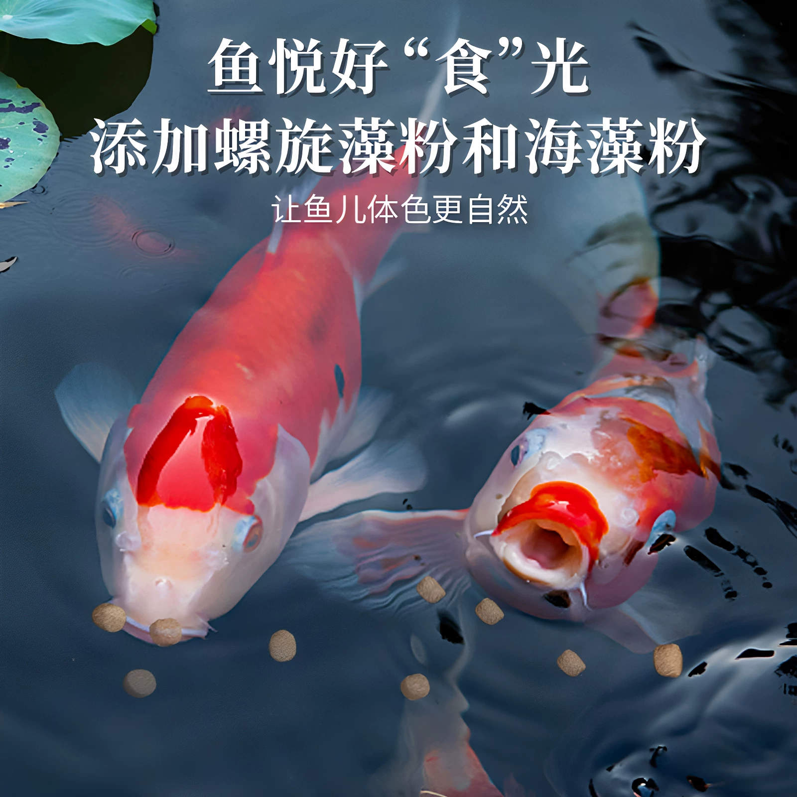 森森锦鲤鱼饲料专用鱼粮观赏鱼金鱼饲料增色不浑水鱼食锦鲤专用 35.85元 - 线报酷