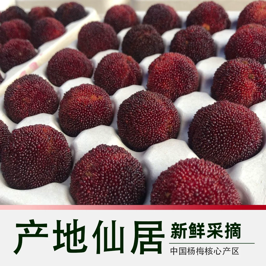 印象仙居大果速发东魁大杨梅杨梅皇颗粒装现摘现发新鲜浙江当季水果 60.32元 - 86线报
