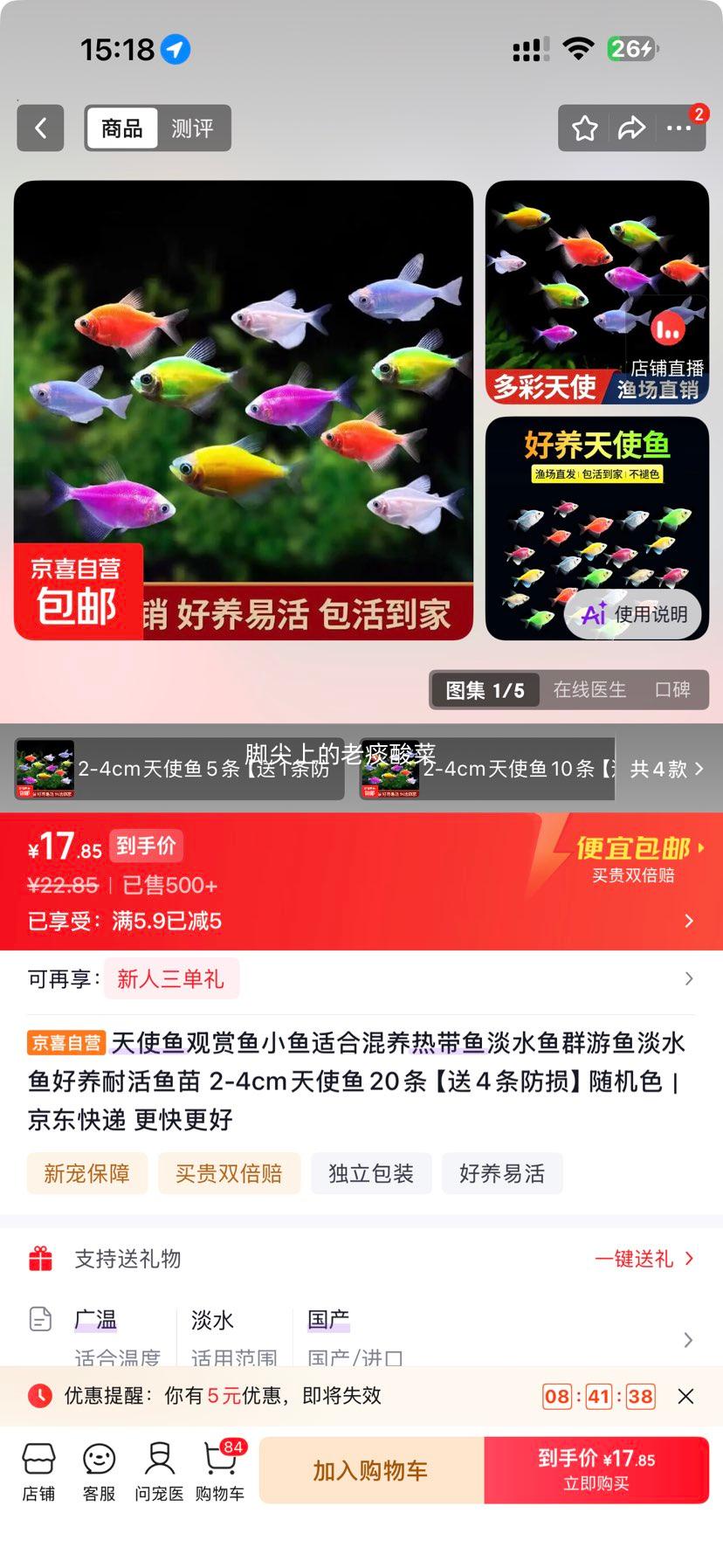 天使鱼观赏鱼小鱼群游2-4cm 20条送4条 随机色 17.85元 - 86线报