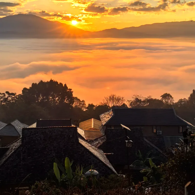 云南旅游私家团西双版纳+普洱+景迈山6天5晚 3099元 - 86线报 云南旅游私家团西双版纳+普洱+景迈山6天5晚 3099元 - 86线报