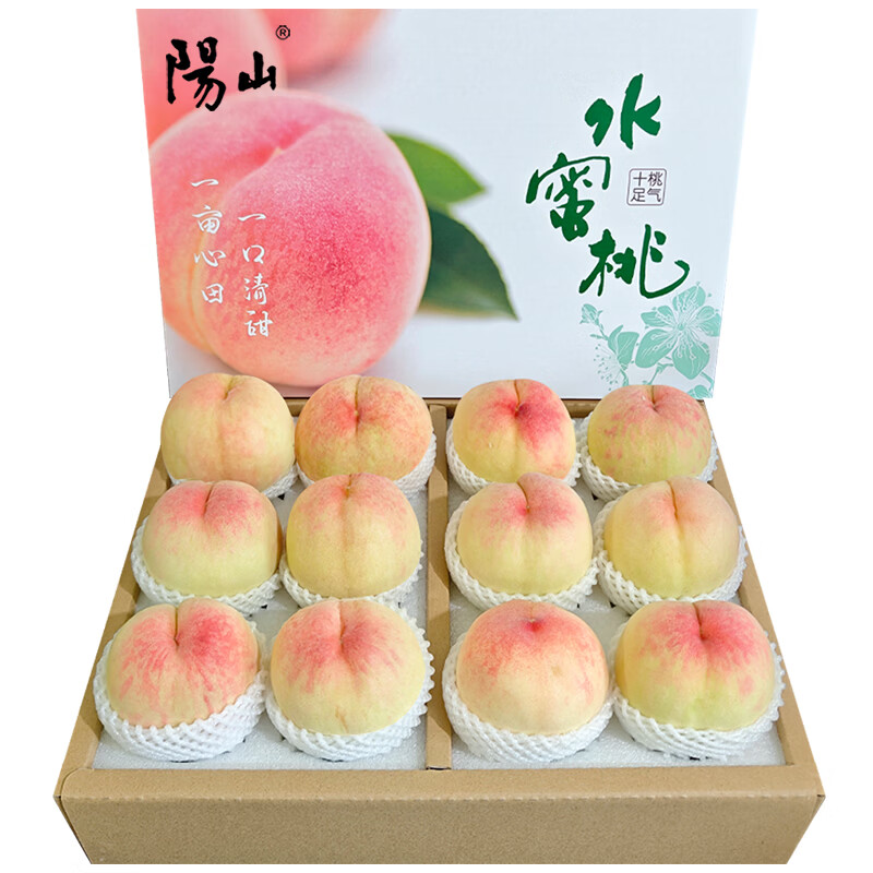 阳山水蜜桃单果4-5两12个礼盒装 58.58元 - 86线报 阳山水蜜桃单果4-5两12个礼盒装 58.58元 - 86线报