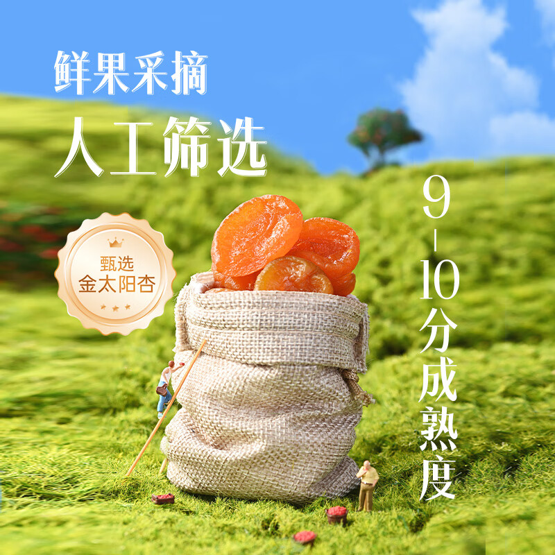 薛记炒货红杏干88g 4.9元 - 86线报