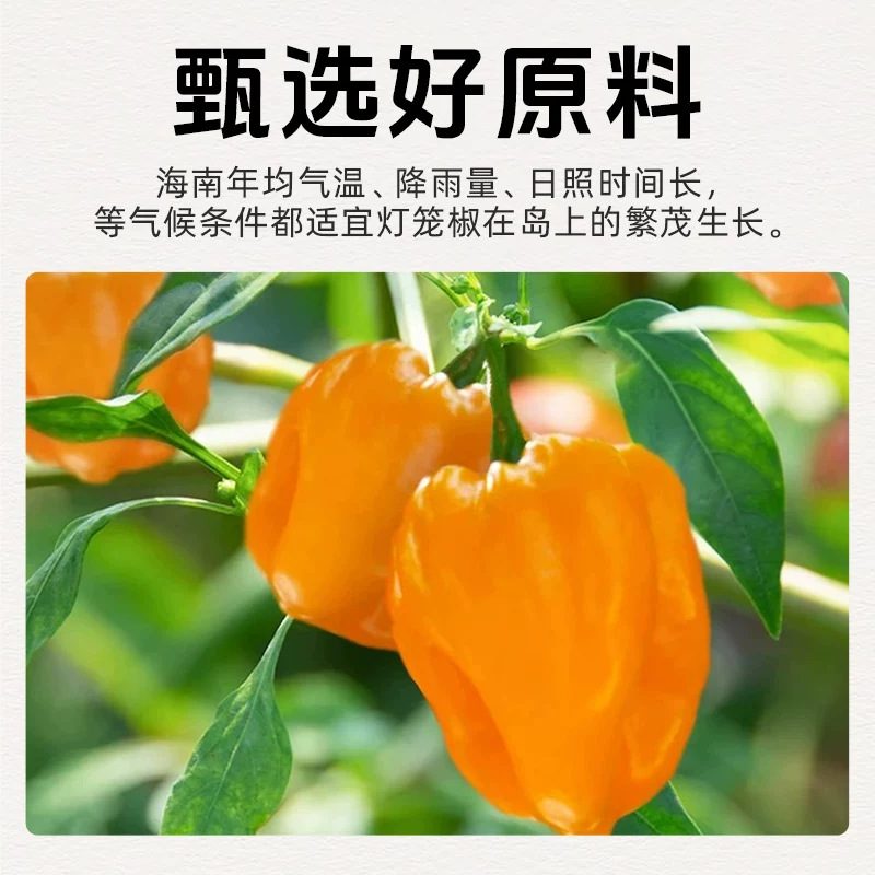 觅趣熊黄灯笼辣椒酱150g 2.5元 - 86线报