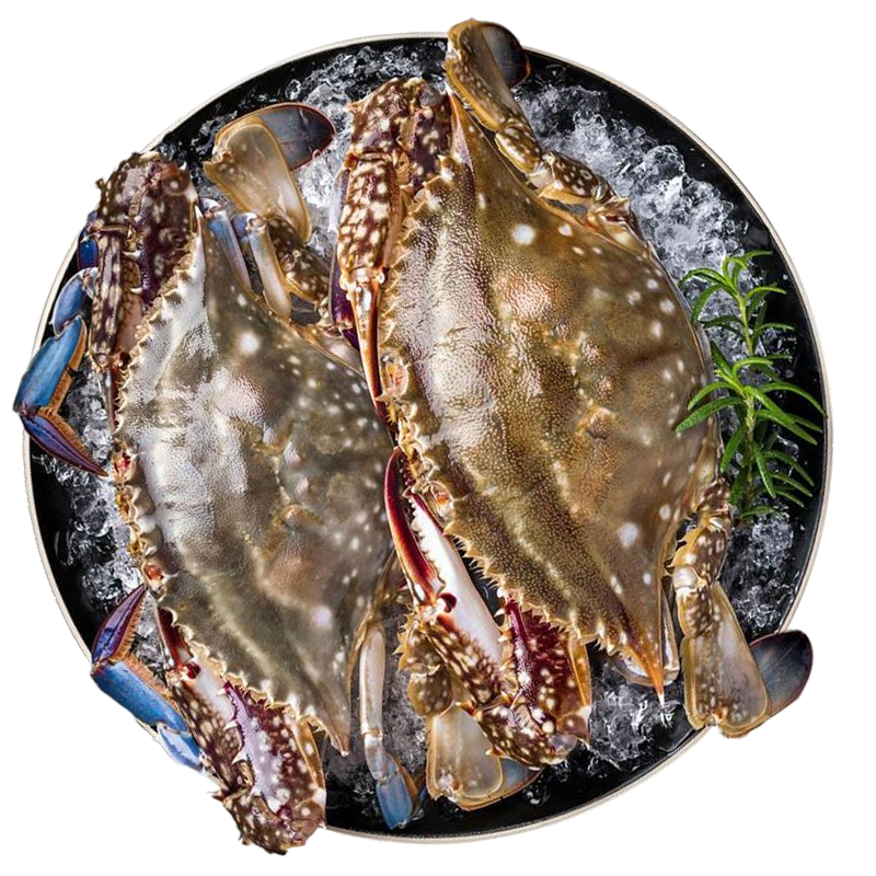 舟山特大梭子蟹鲜活大螃蟹4-6两/只3斤装 68.99元 - 折送网 舟山特大梭子蟹鲜活大螃蟹4-6两/只3斤装 68.99元 - 折送网