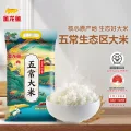 限移动端：金龙鱼 五常大米 五常稻花香大米 东北大米 金玉稻香10kg 59.9元（淘金币可抵4.17元起） 图片 2