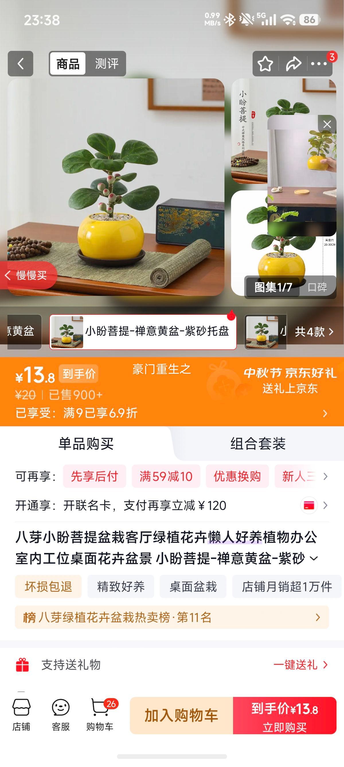 八芽小盼菩提盆栽 禅意黄盆 紫砂托盘 高15-25CM 13.8元 - 折送网