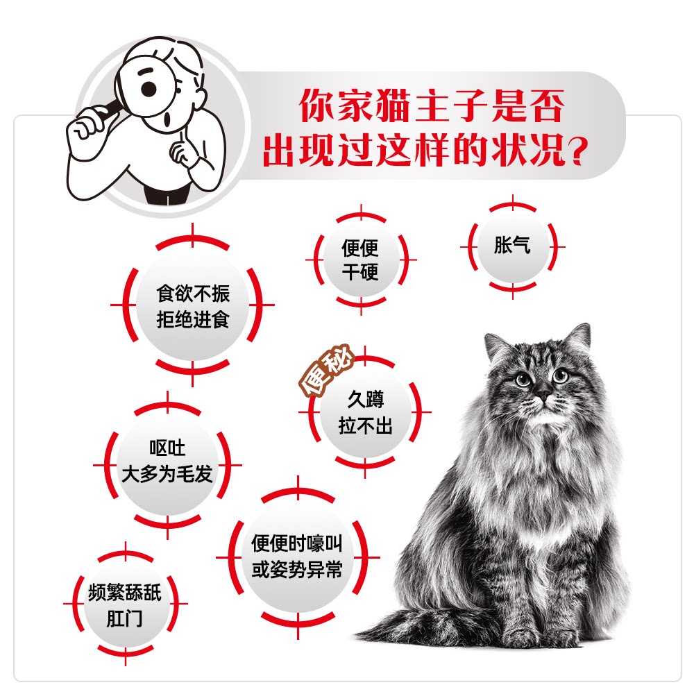 皇家 成猫肠道处方猫粮FR31 券后533元 消费券 满480减60元 - 86线报