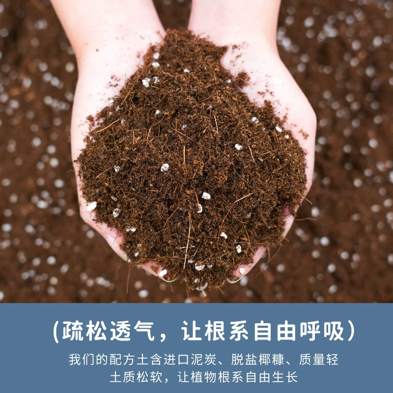 船长花园营养土养花通用型 12.8元 - 86线报