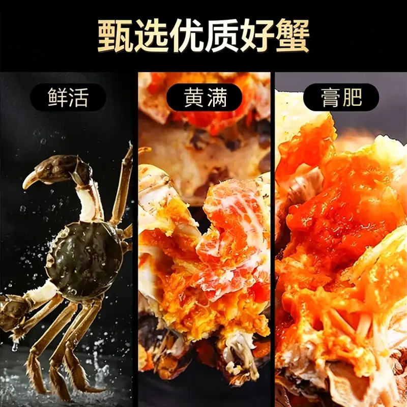 仲秋大闸蟹鲜活螃蟹特大全母蟹2.8两10只河蟹礼盒 131.1元 - 86线报