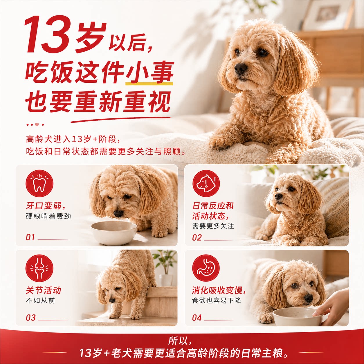 HIYORI元气软软老年犬软狗粮13岁小型犬高龄犬泰迪比熊软粮 129元 - 清风线报