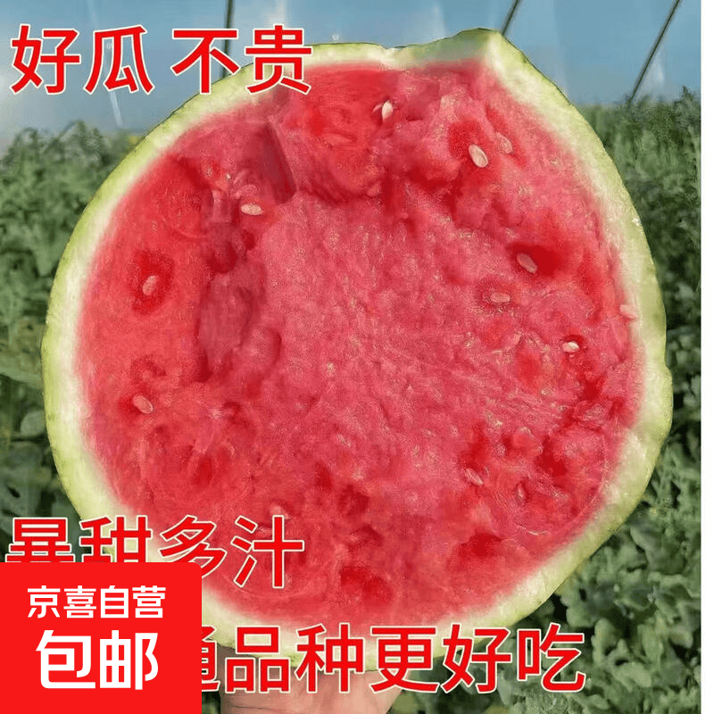 京喜麒麟美都头茬无籽西瓜5-7斤新鲜现摘 11.9元 - 86线报