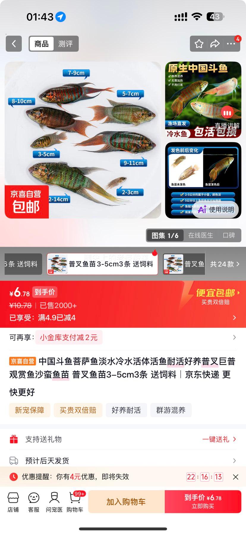 中国斗鱼普叉鱼苗3-5cm3条送饲料 6.78元 - 86线报