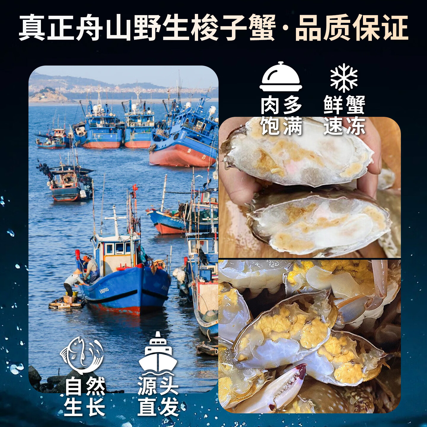 鲜喜利梭子蟹鲜活特大野生舟山大螃蟹海鲜新鲜冷冻海蟹水产飞蟹白蟹 9两以上/只 140.29元 - 86线报