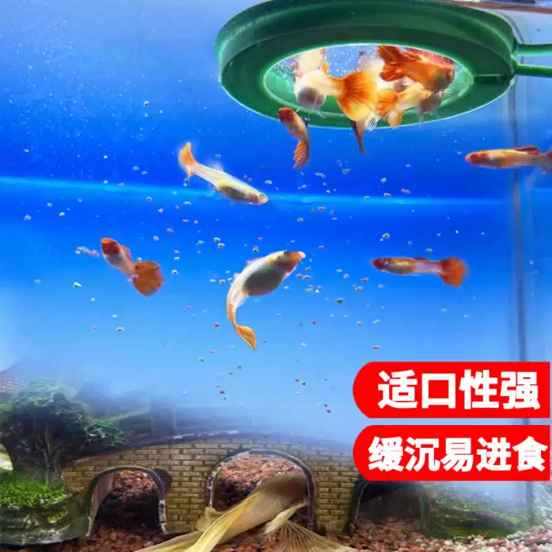 森森小鲤鱼食热带鱼鱼粮饲料灯科鱼红绿灯鱼食通用260ML 6.73元 - 86线报