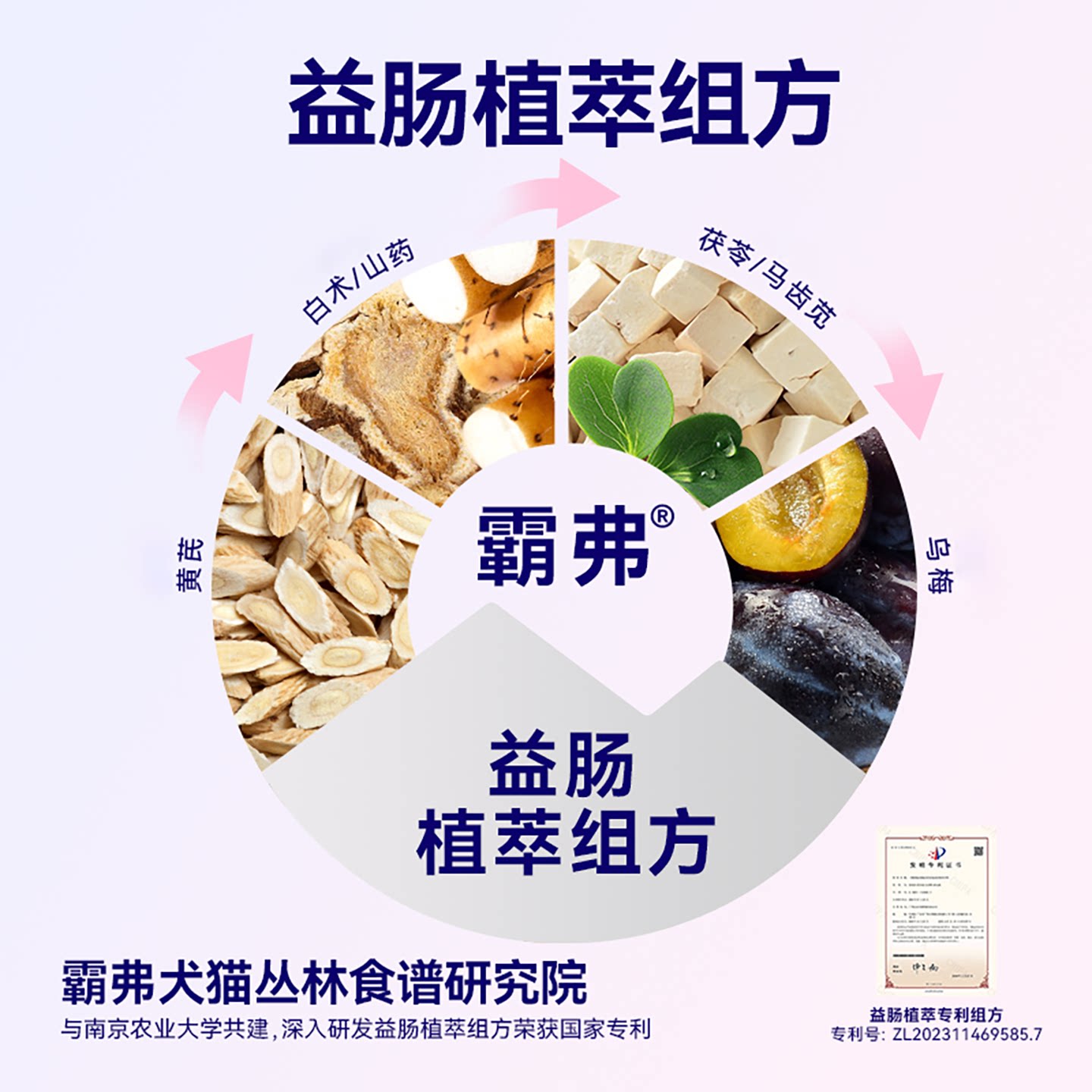 霸弗猫咪干粮2.0版本 55元 - 86线报