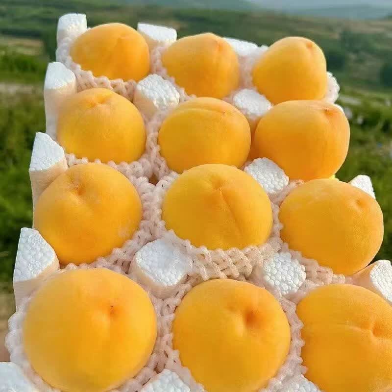 特大果山东蒙阴黄桃黄金油桃净重2.25斤5-7个需买2件 14.99元 - 86线报 特大果山东蒙阴黄桃黄金油桃净重2.25斤5-7个需买2件 14.99元 - 86线报