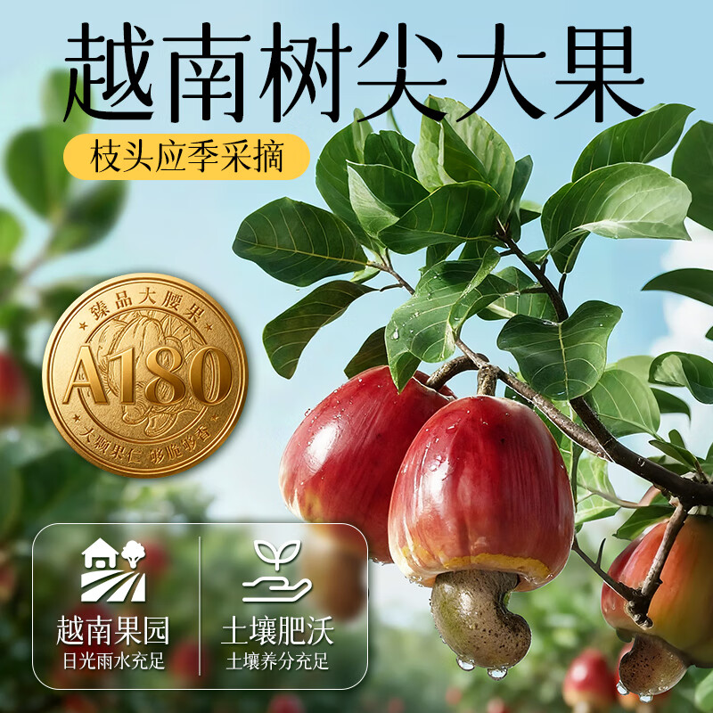 华味亨A180型特大带衣腰果450g 26.07元 - 86线报