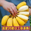 线报图片