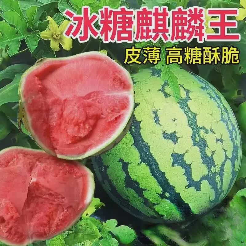 精品麒麟西瓜8424美都薄皮脆甜净5-7斤 13.15元 - 86线报