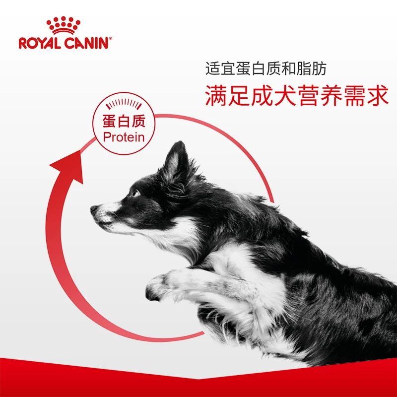 皇家CC全犬成犬狗粮 215元 - 86线报