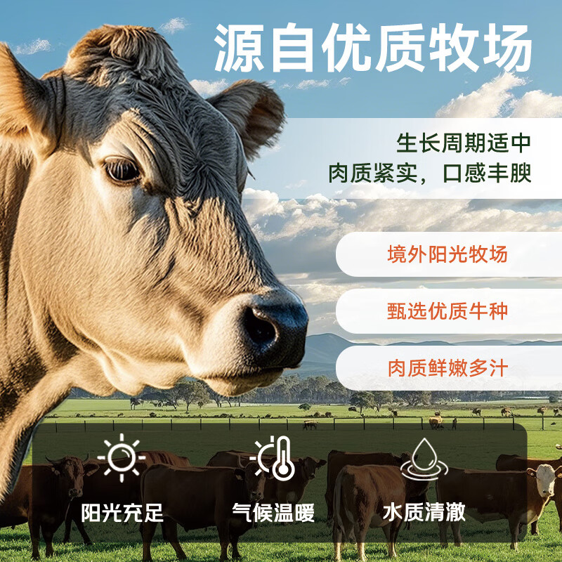 月盛斋进口原切肥牛卷400g 需买4件 19.91元 - 86线报