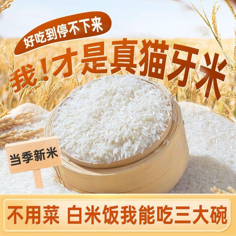 巨金米业水乡虾稻猫牙香米长粒大米500g 需买2件 1.79元 - 86线报