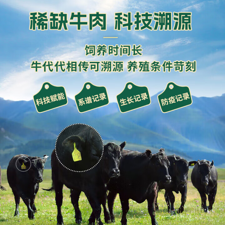天莱香牛有机牛肋排2斤 174元 - 86线报
