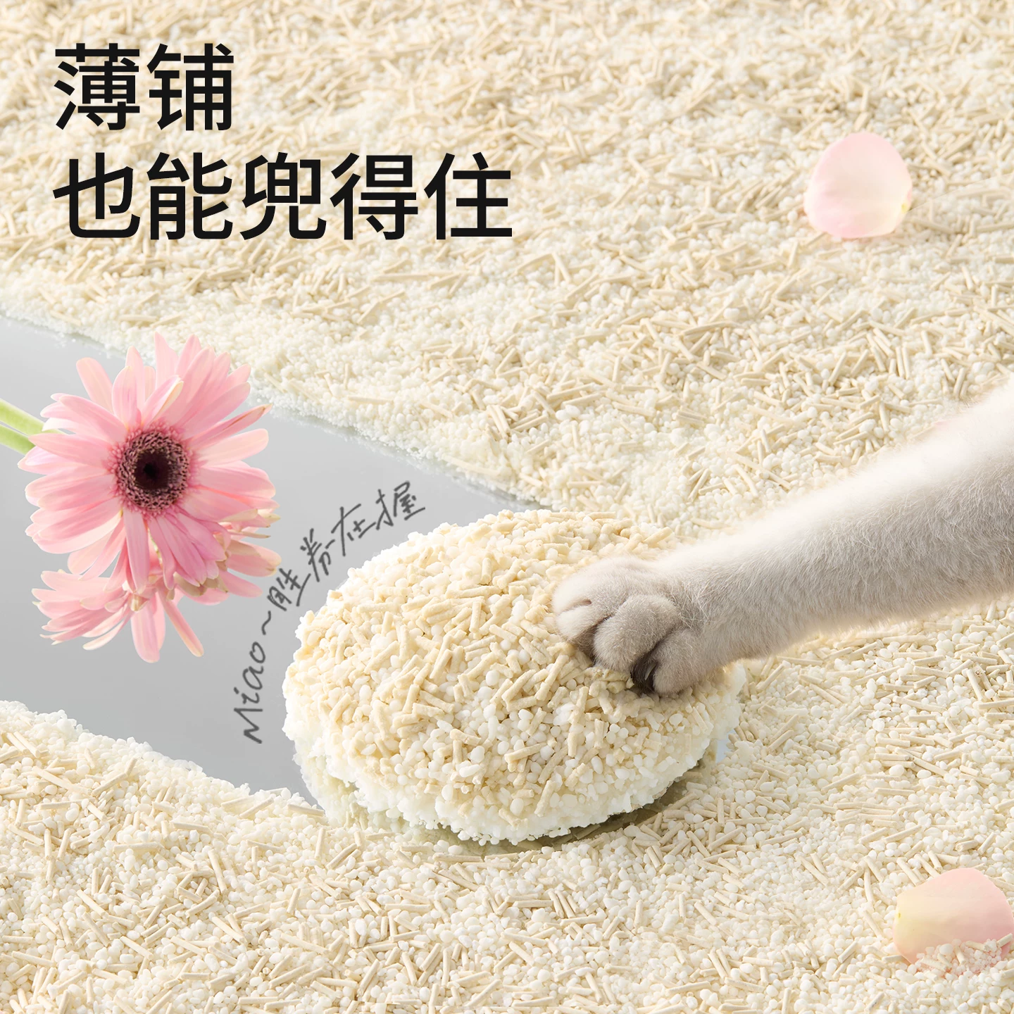 许翠花豆腐砂植物混合猫砂除臭结团强不易粘底不可冲厕所2.5kg 17.99元 - 86线报