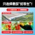 线报图片