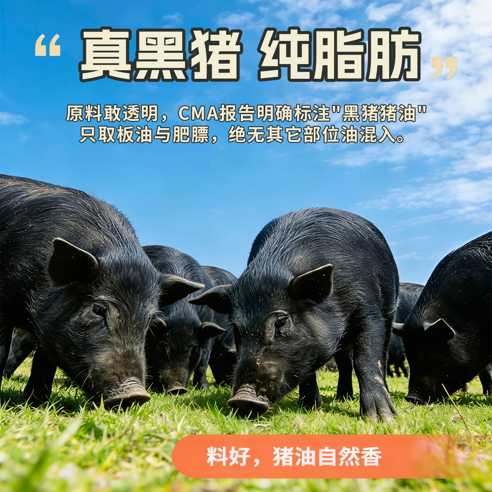 醇臻纯黑黑猪猪油300g*1罐 9.8元 - 86线报