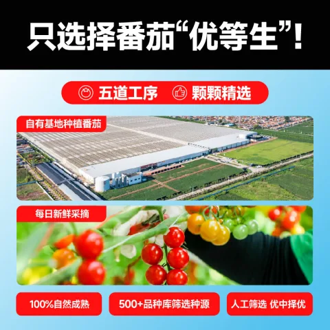 一颗大 Mr.Seafood 京鲜生 国产樱桃番茄 850g 9.92元（需买2件，需用券） 图片 2