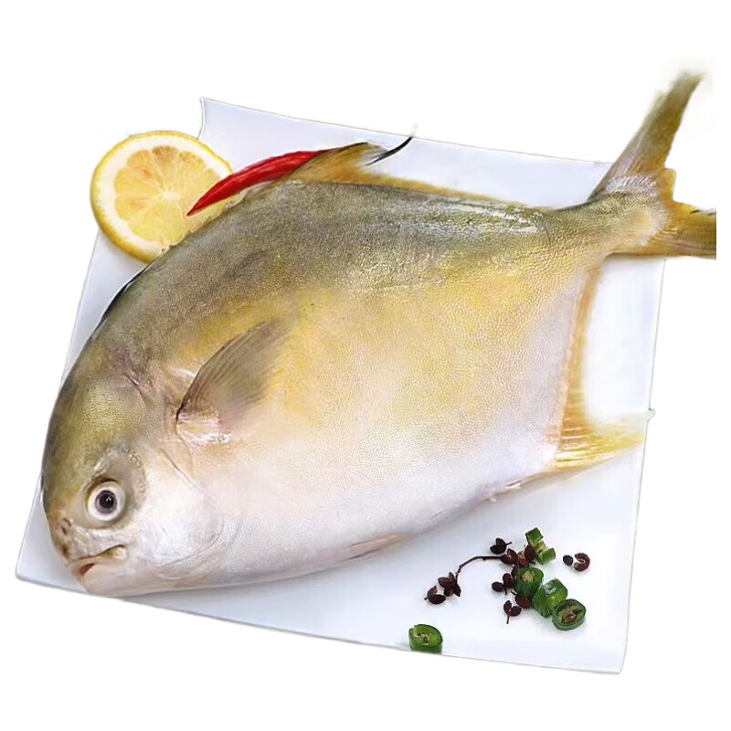 金鲳鱼净重500g*3条 29.67元 - 86线报 金鲳鱼净重500g*3条 29.67元 - 86线报