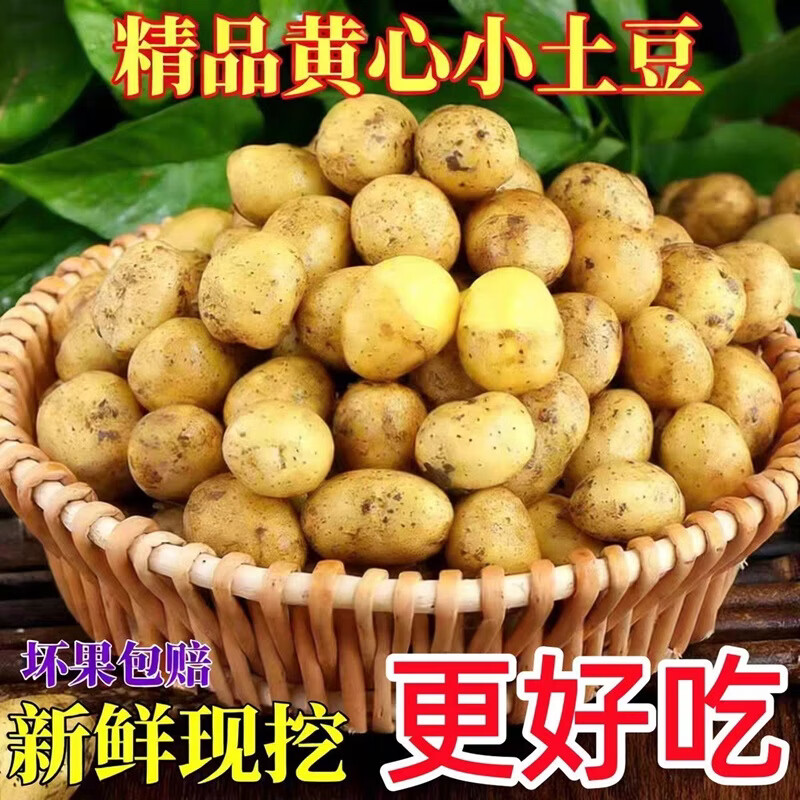 京喜新鲜迷你小土豆2斤含箱 0.98元 - 线报酷