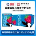 海河乳业 海河CI友记草莓可可牛奶饮品天津海河风味奶含生牛乳早餐伴侣 草莓味200ml*10盒 券后19.9元 图片 1