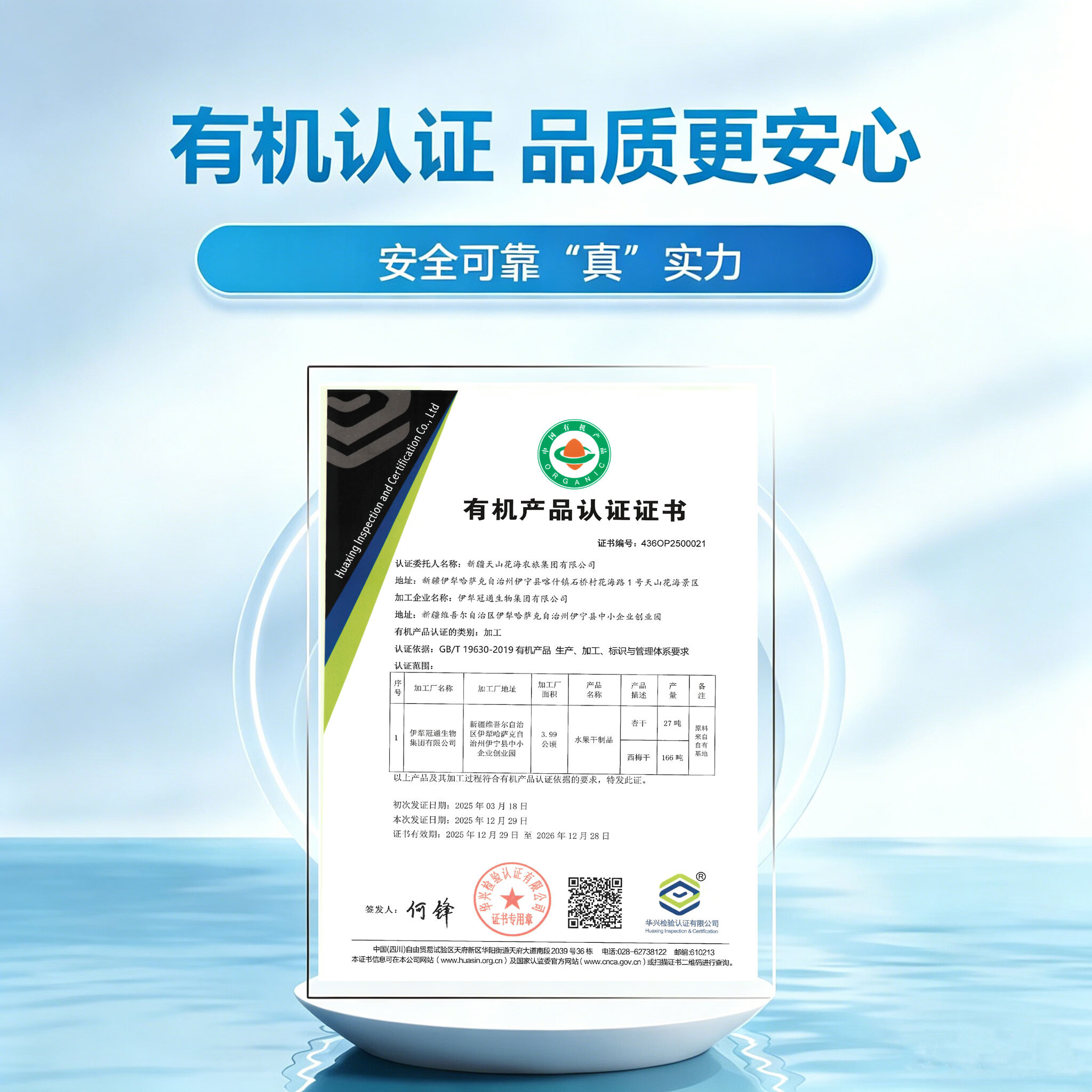 夏天的果园西梅干无添加新疆特产160g*1袋 12.1元 - 86线报