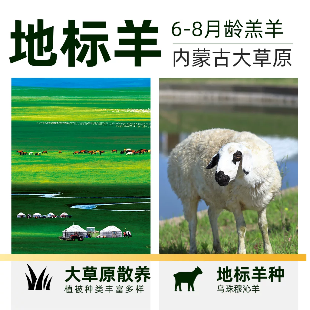 大庄园乌珠穆沁草地羔羊羊蝎子 84.35元 - 86线报