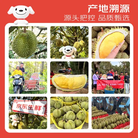 京鲜生 泰国进口金枕头榴莲 6-7斤 1个装，可低至17.7元/斤 123.9元 图片 2