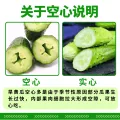 京鲜生 源头直发 水果小青瓜 旱黄瓜 3斤 清甜爽口 8.25元 图片 2