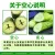 线报图片