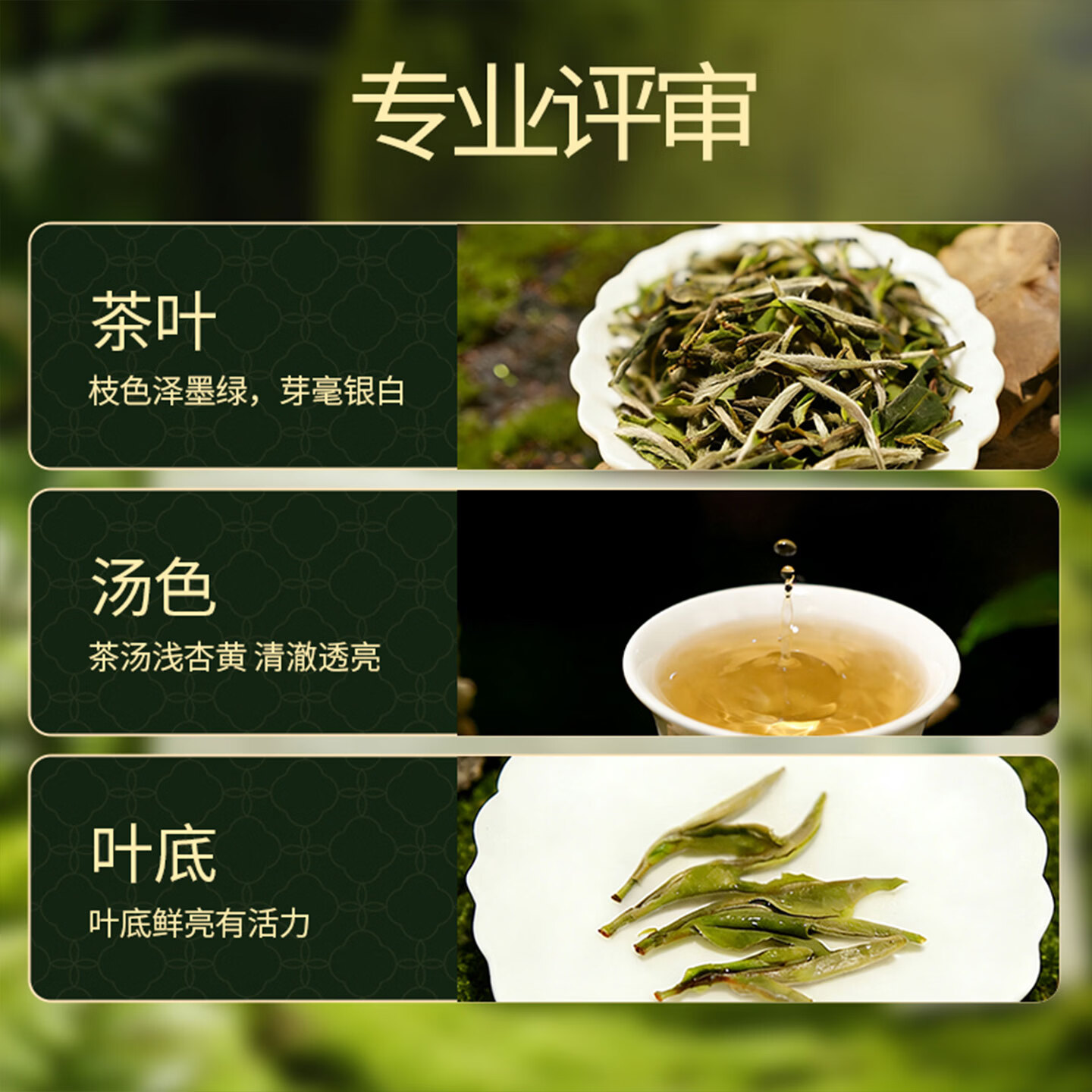 六妙福鼎白茶2026年新茶一级白牡丹茶散茶叶白茶中秋送礼2罐装 78.82元 - 折送网