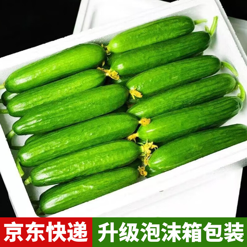 当季无刺小黄瓜源头直发精品水果黄瓜净重4.5斤 9.8元 - 86线报