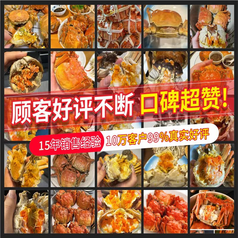 湖鲜阳澄大闸蟹全母2.5-2.8两4对8只 158元 - 86线报
