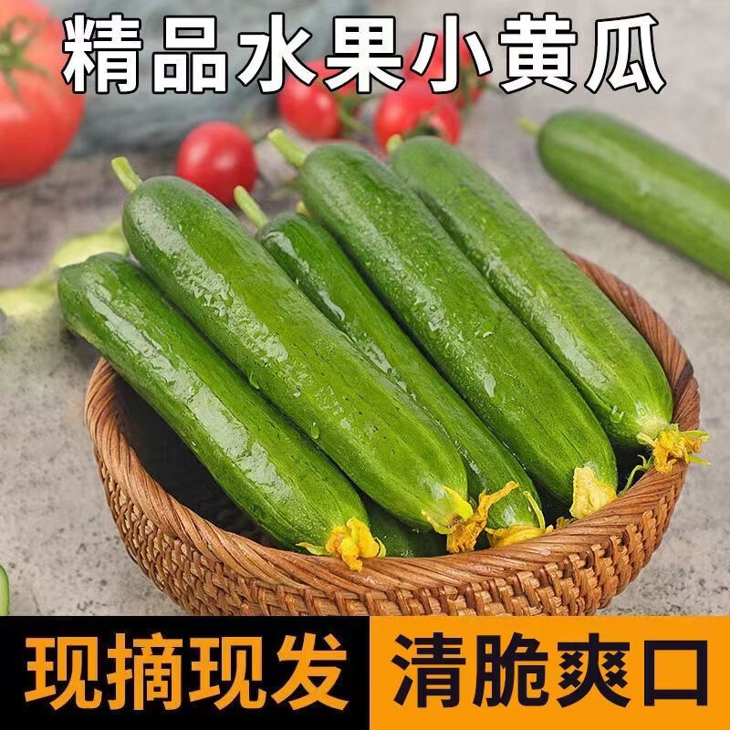 亨泰丰源水果小黄瓜山东旱地脆嫩5斤 12.99元 - 86线报 亨泰丰源水果小黄瓜山东旱地脆嫩5斤 12.99元 - 86线报