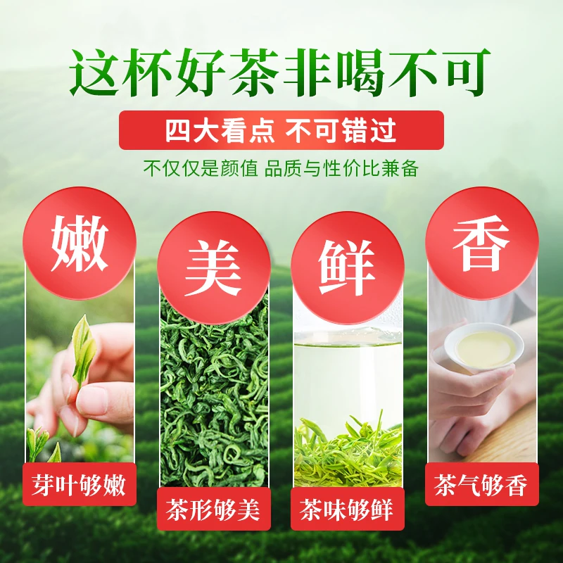 茶马世家绿茶2024新茶明前恩施硒茶高山云雾毛尖茶浓香自己喝500g - 线报酷